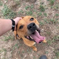 Photo of Tank