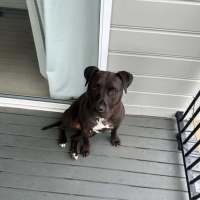 Photo of Rocket