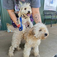 Photo of Bubble And Squeak