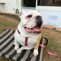Photo of Betty