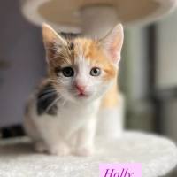Photo of Holly