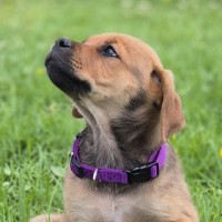 Photo of Arya