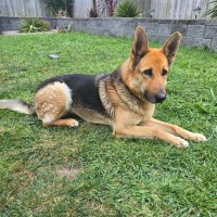 Photo of Lucy