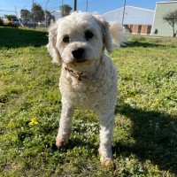 Photo of Princess