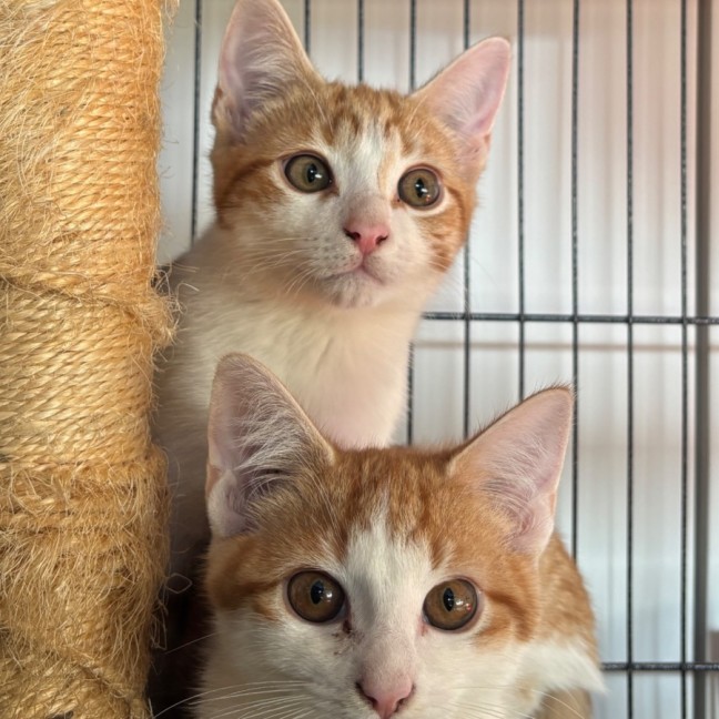 Photo of 🧡Reito🧡