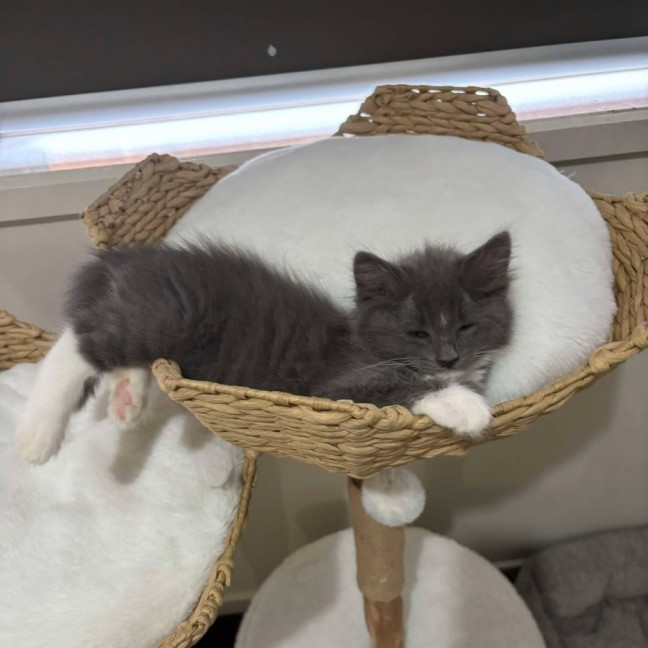 Photo of Savannah And Smokey