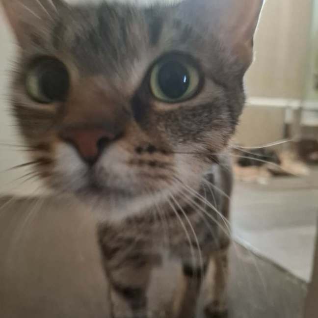 Photo of Jackie