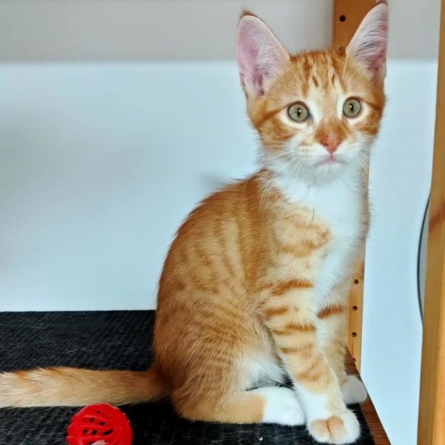 Photo of Quincy