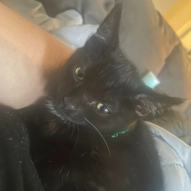 Photo of Hershey