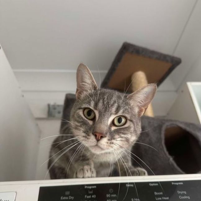 Photo of Leo
