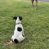 Photo of Murphy Muddle