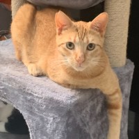 Photo of Monty
