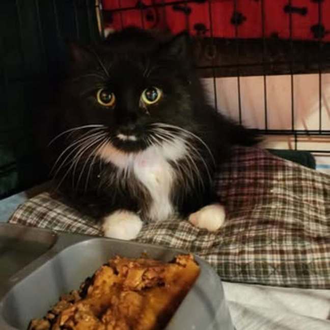 Photo of Gizelle