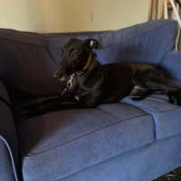 Photo of Abbey