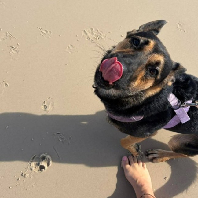 Photo of Luna