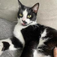 Photo of Kleo And Theodore 