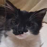 Photo of Bleu
