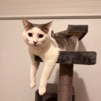 Photo of Ash 