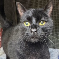 Photo of Hamish 