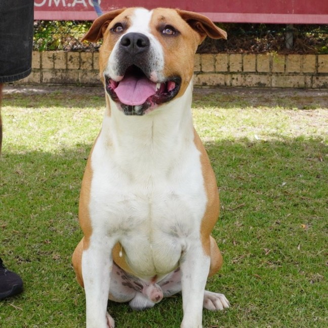 Photo of Atlas