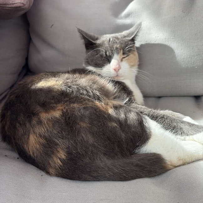 Photo of Maya