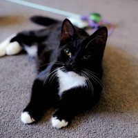 Photo of Eddie