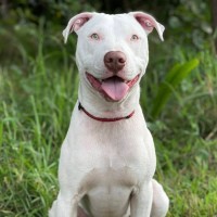 Photo of Max