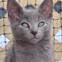 Photo of Chuck