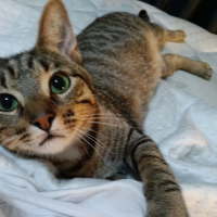Photo of Lydia 