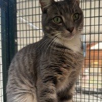 Photo of Simon & Garfunkel