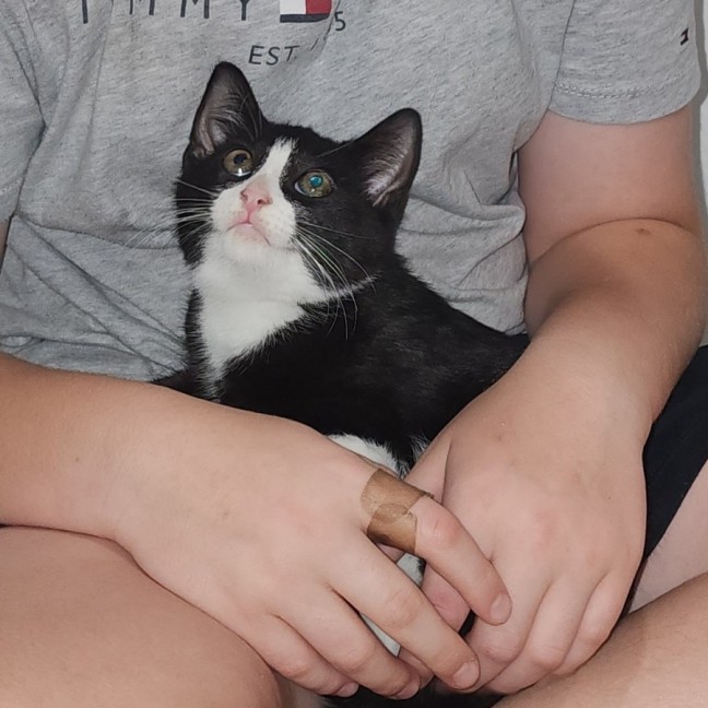 Photo of Humphrey