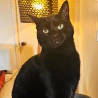 Photo of 💚 Mali 💚