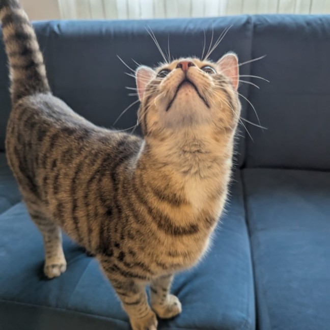 Photo of Sam Winchester