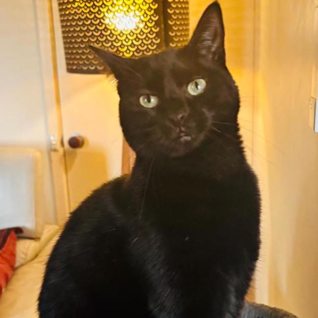 Photo of 💚 Mali 💚