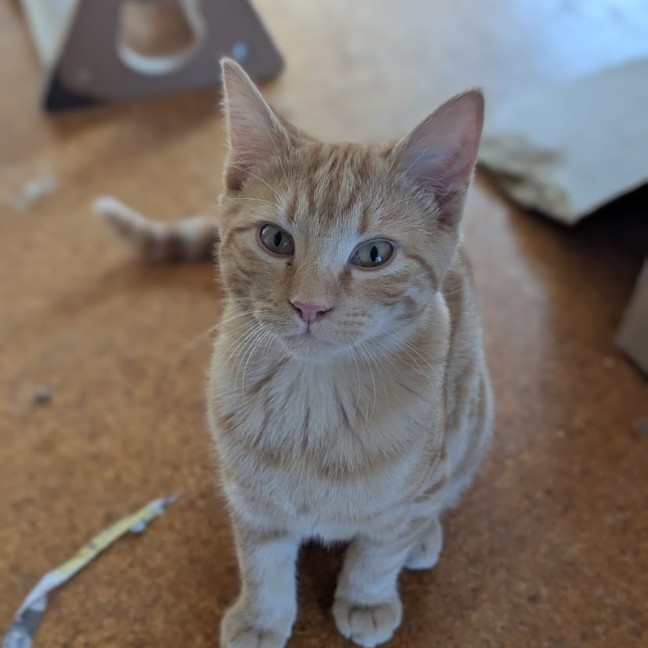 Photo of Arya And Sansa