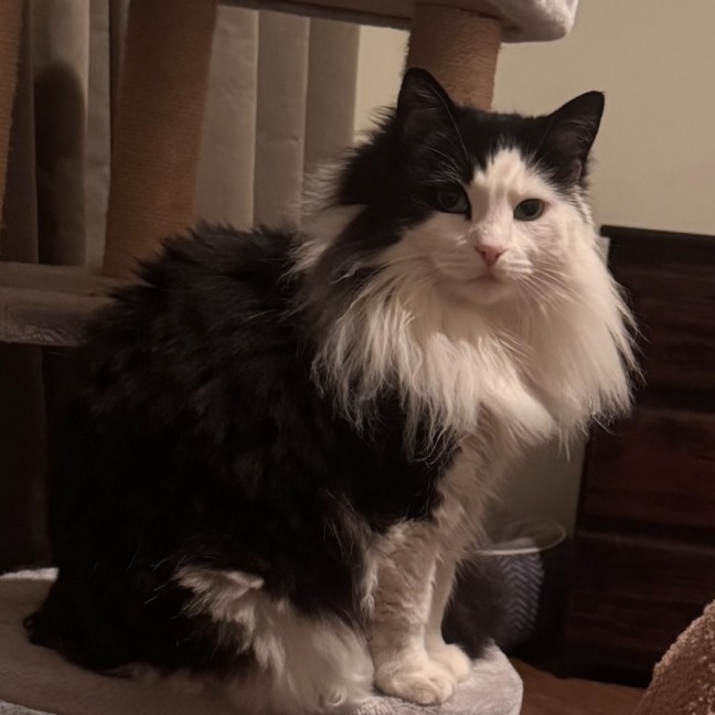 Photo of Lizzie