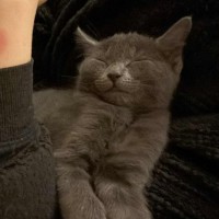 Photo of Dee   Located In Preston