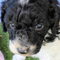 Photo of Harry Potter