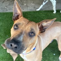 Photo of Zeus 