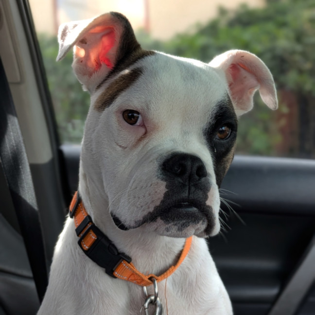 Photo of Ricky Jon Jiggy