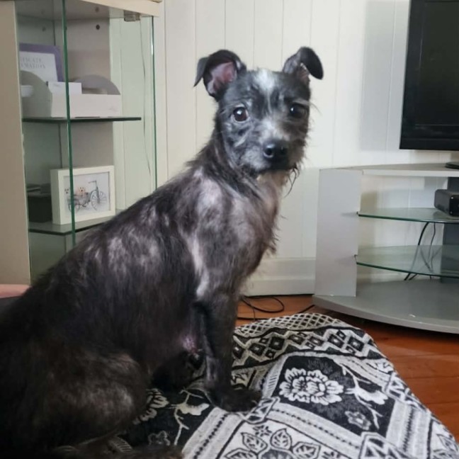 Photo of Chloe 