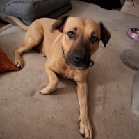 Photo of Turbo 
