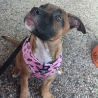 Photo of Athena