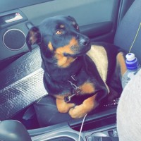 Photo of Ally And Lilly