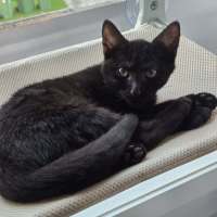 Photo of Zuko 