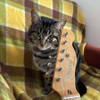 Photo of Jones   Meet Me @ Pe Tstock Prahran!