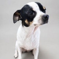 Photo of Bonty