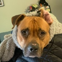 Photo of Murphy