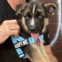 Photo of Brie Bear 