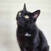 Photo of 🎀 Minka 5426 🎀